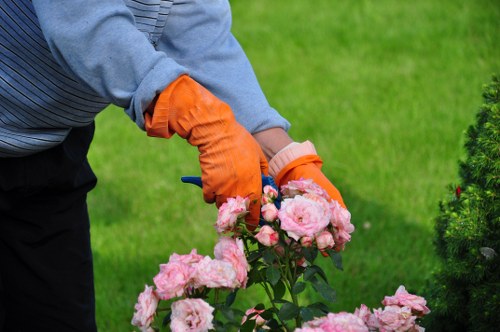 Professional landscaper maintaining a well-kept lawn in Turnham Green.